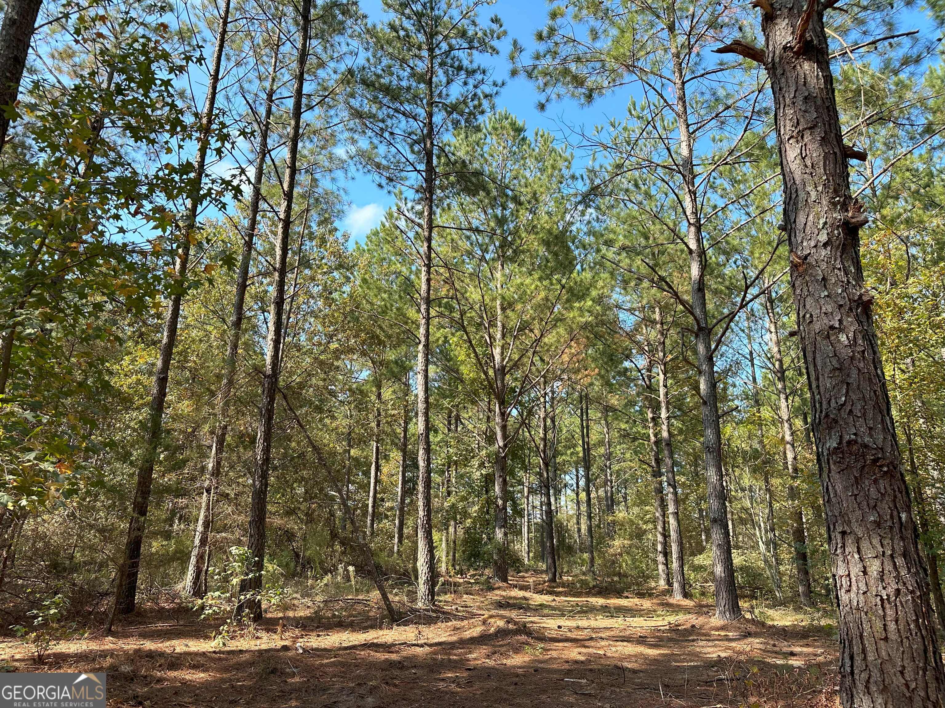 50 HEARTHSTONE Drive