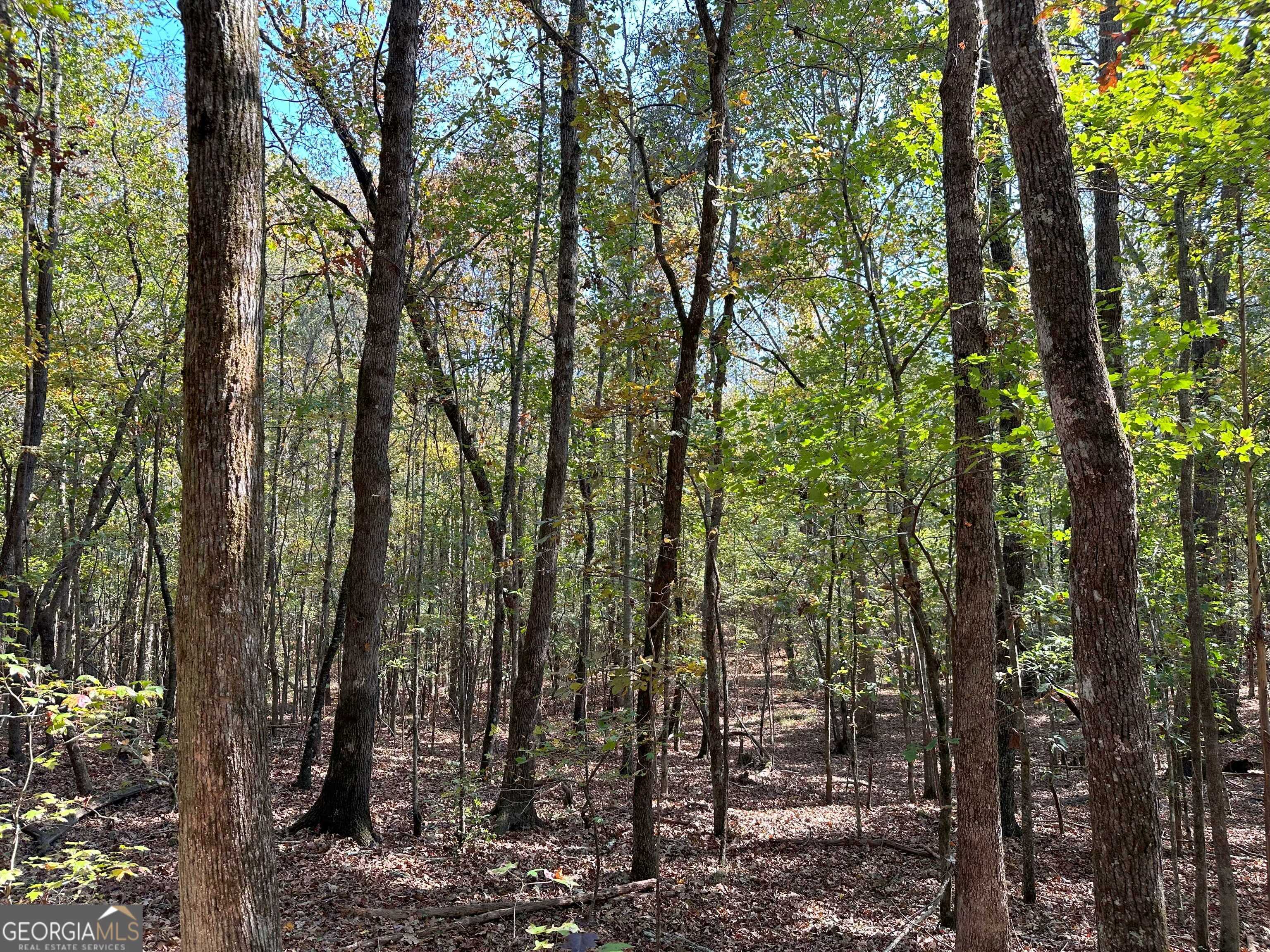 50 HEARTHSTONE Drive