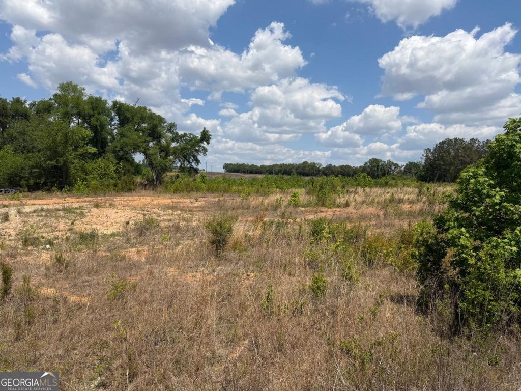 Photo of 402 Grays Landing Road, Uvalda, GA 30473 (MLS # 10736571)