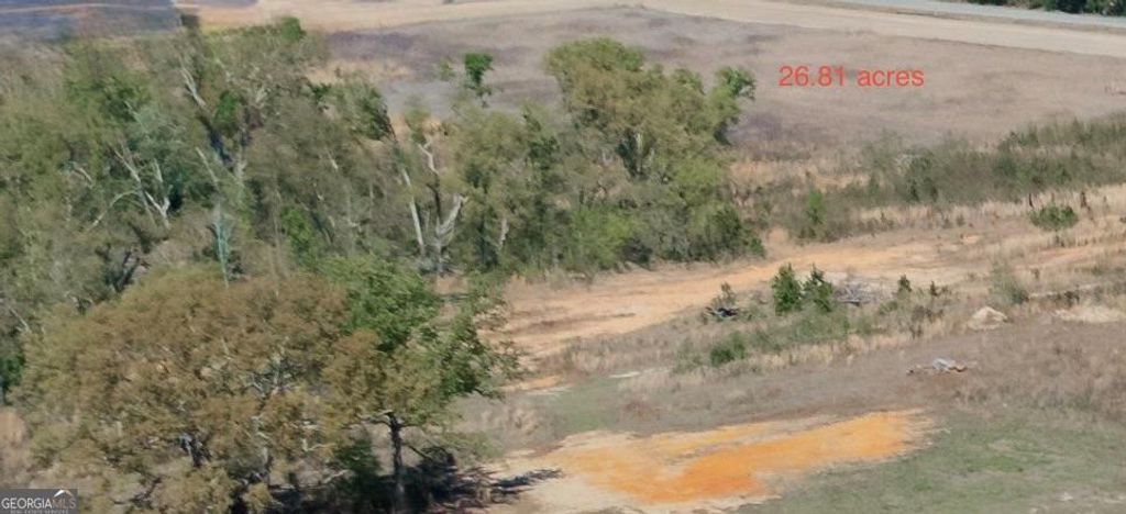 Photo of 402 Grays Landing Road, Uvalda, GA 30473 (MLS # 10736571)