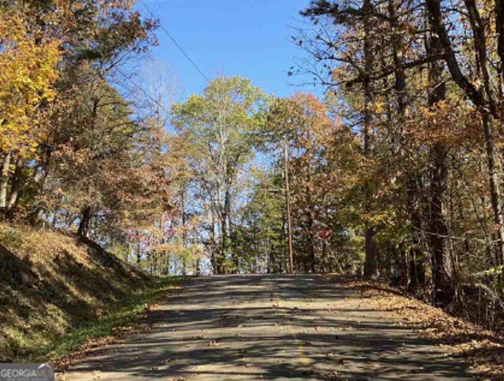 Photo of 26 Ridgeview Court, Dahlonega, GA 30533 (MLS # 10670911)