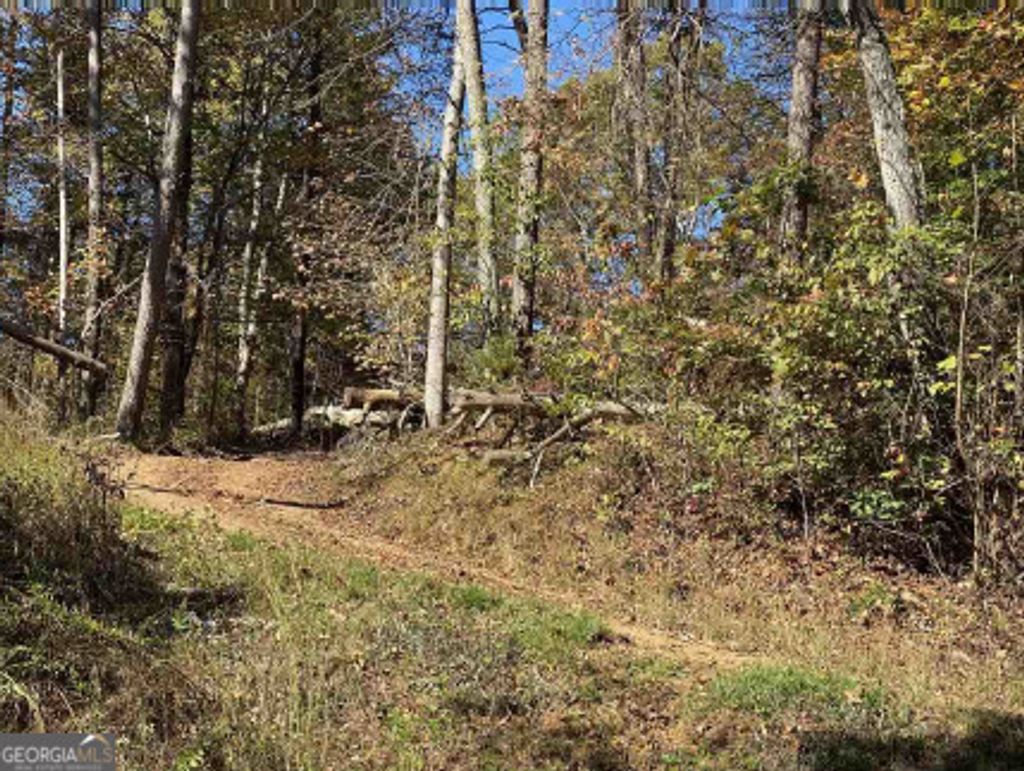 Photo of 26 Ridgeview Court, Dahlonega, GA 30533 (MLS # 10670911)