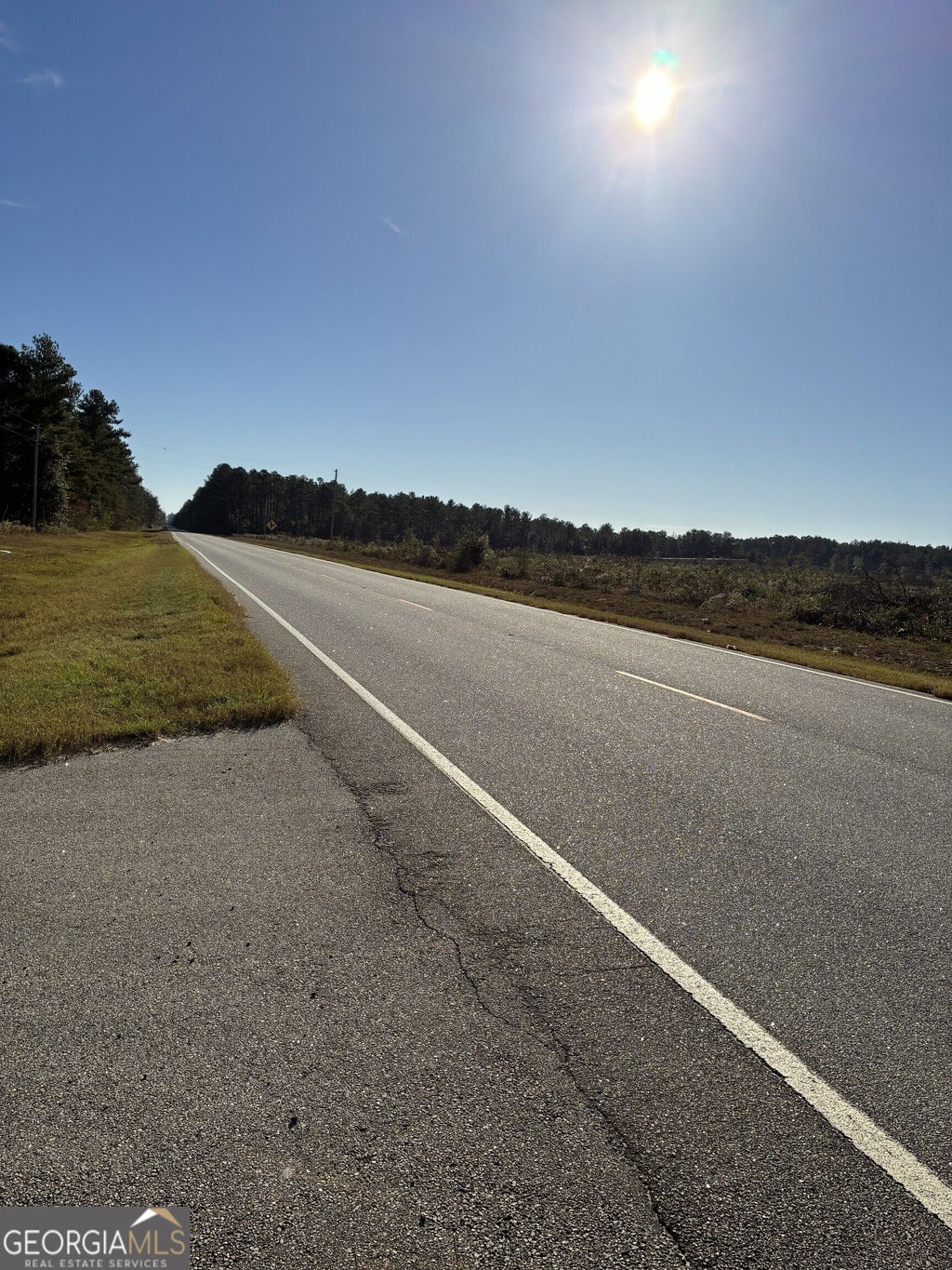 Photo of 0 Hwy 46, Twin City, GA 30401 (MLS # 10879756)