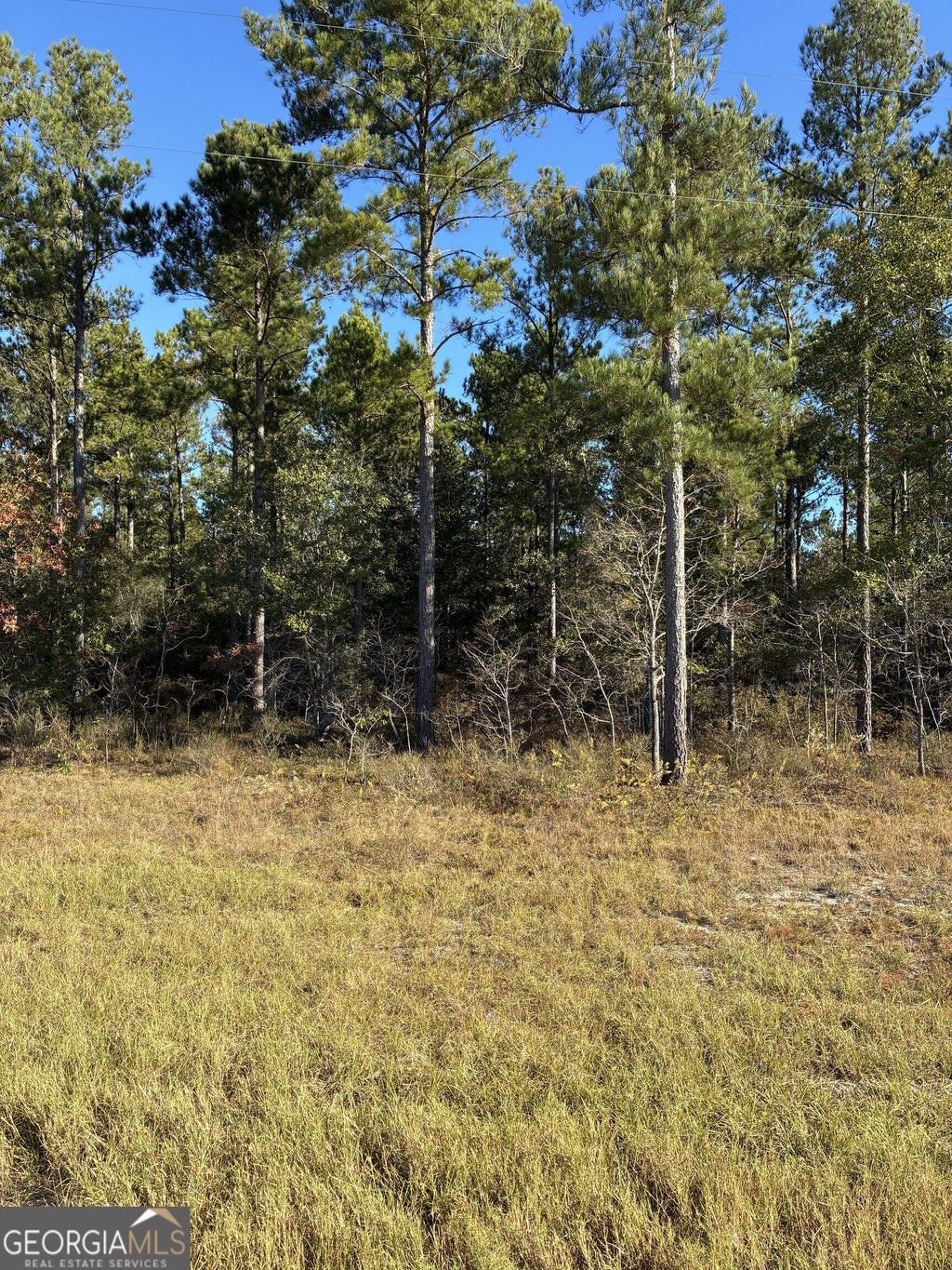Photo of 0 Hwy 46, Twin City, GA 30401 (MLS # 10879756)