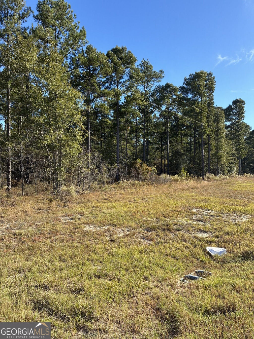 Photo of 0 Hwy 46, Twin City, GA 30401 (MLS # 10879756)