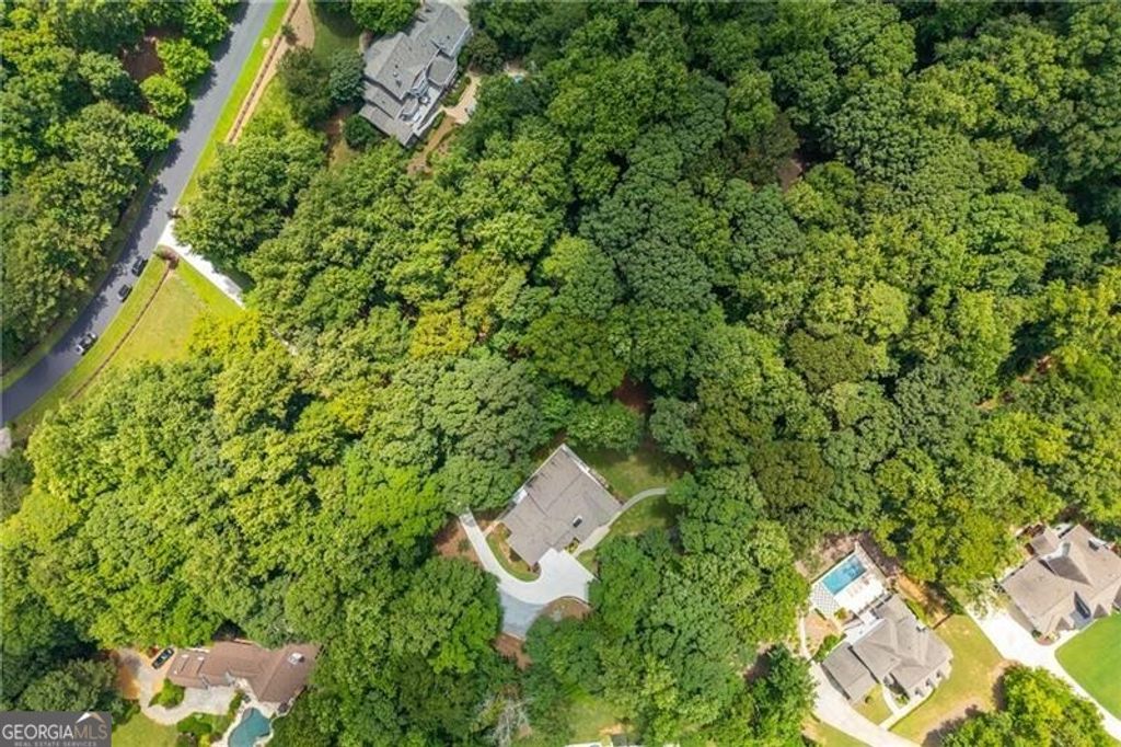 Photo of 910 Pleasant Hollow Trail, Milton, GA 30004 (MLS # 10699699)