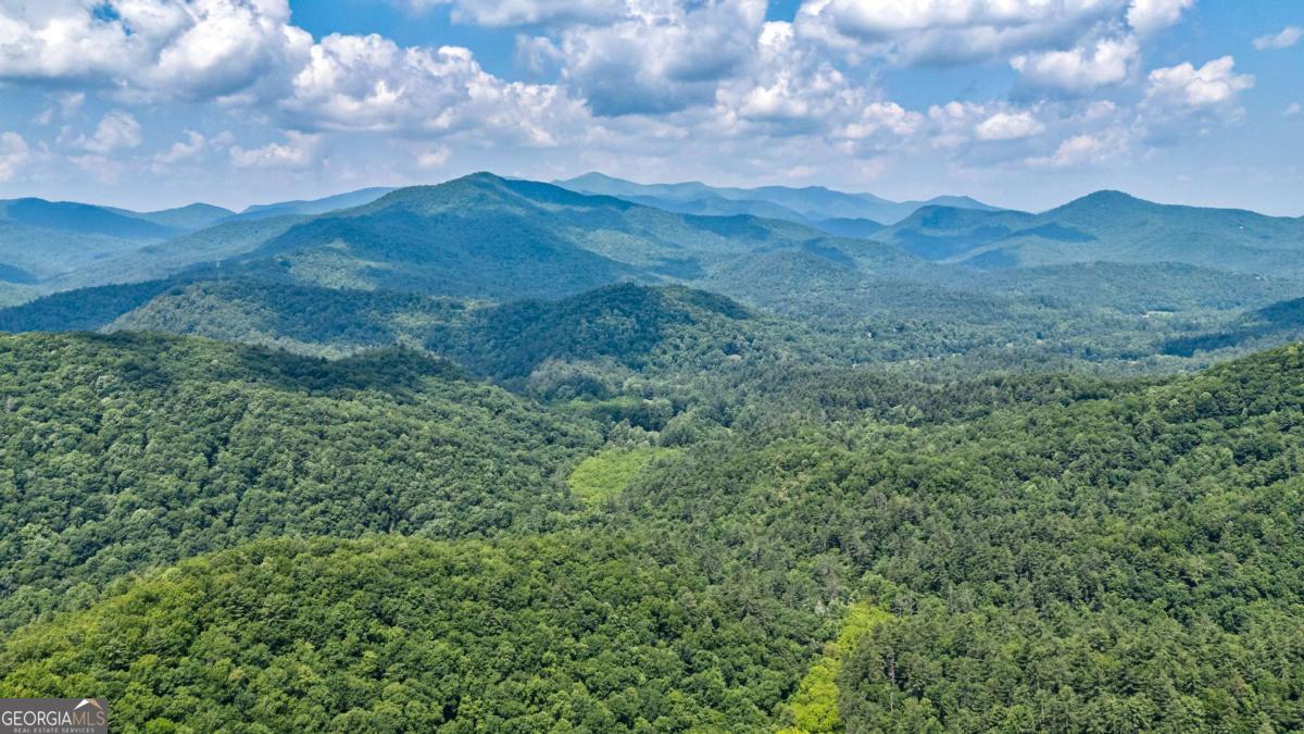 There is a Hidden Valley only 2 hours north of Atlanta where Time Stands Still. Welcome to Chestnut Valley Farm. The Hiawassee River headwaters tumble through the lush Rhododendron & Mountain Laurel covered slopes of the Chattahoochee National Forest to merge on this private 468 acre mountain paradise. 4 different Trout Streams combine to total almost 2.5 miles of Private Trout Waters including over 1 mile of the headwaters of the Hiawassee River which run through the property. The current owners have maintained the waters to provide a World Class Trophy & Wild Trout environment. Additional private access to miles of Wild Fish streams in the US Forest Service offer an unparalleled fishing experience. Rarely does a property afford such an opportunity of Total Privacy, outdoor recreational activities & escape from the frantic pace of the modern world. This 468 acre secluded valley is accessed only by a paved & gated county road and is enveloped by thousands of acres of the Chattahoochee National Forest. Over 2 miles of private maintained roads and 3 miles of trails make off roading, horse back riding & hiking prime adventure in the valley. Amazingly the very best building sites have been preserved without a new owner having to settle for someone else's dated dream home on the best site. 5 original 150 plus year old log cabins have been strategically placed throughout this natural master piece to take advantage of the streams, pastures & groves of Black Walnut & Chestnut trees that lend the locals to compare the valley to Cades Cove, in the Smoky Mountains. Chestnut Valley Farm is a true One of A Kind, Legacy property that is ready made for the next Generation. This property is centrally located with an approximate 2 hour Drive to: Atlanta, Chattanooga, Asheville and Greenville.