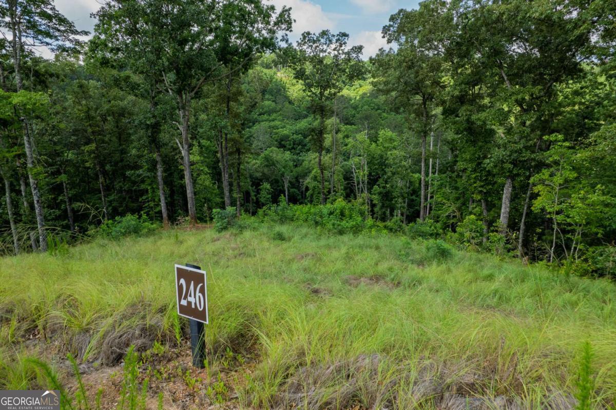 LOT 246 Spear Point Dr