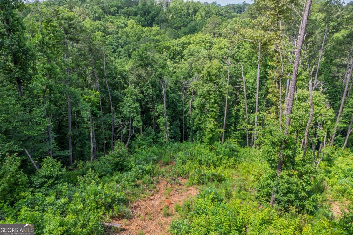 LOT 246 Spear Point Dr