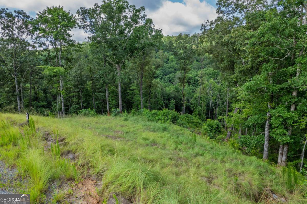 LOT 246 Spear Point Dr