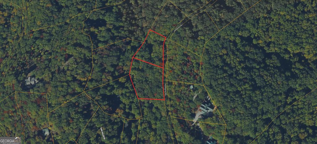 Photo of 0 Picklesimer Mtn Trail, Morganton, GA 30560 (MLS # 10728151)