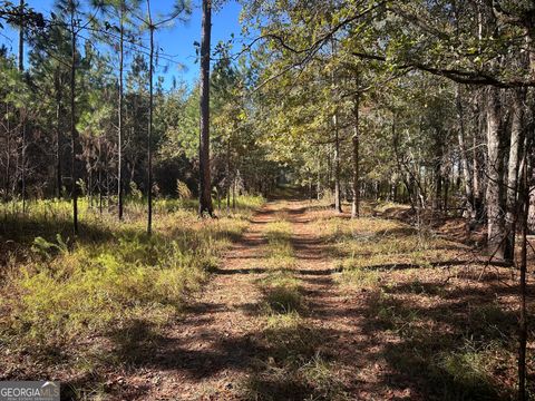 Photo of 0 Buck Creek Road, Sylvania, GA 30467 (MLS # 10636216)