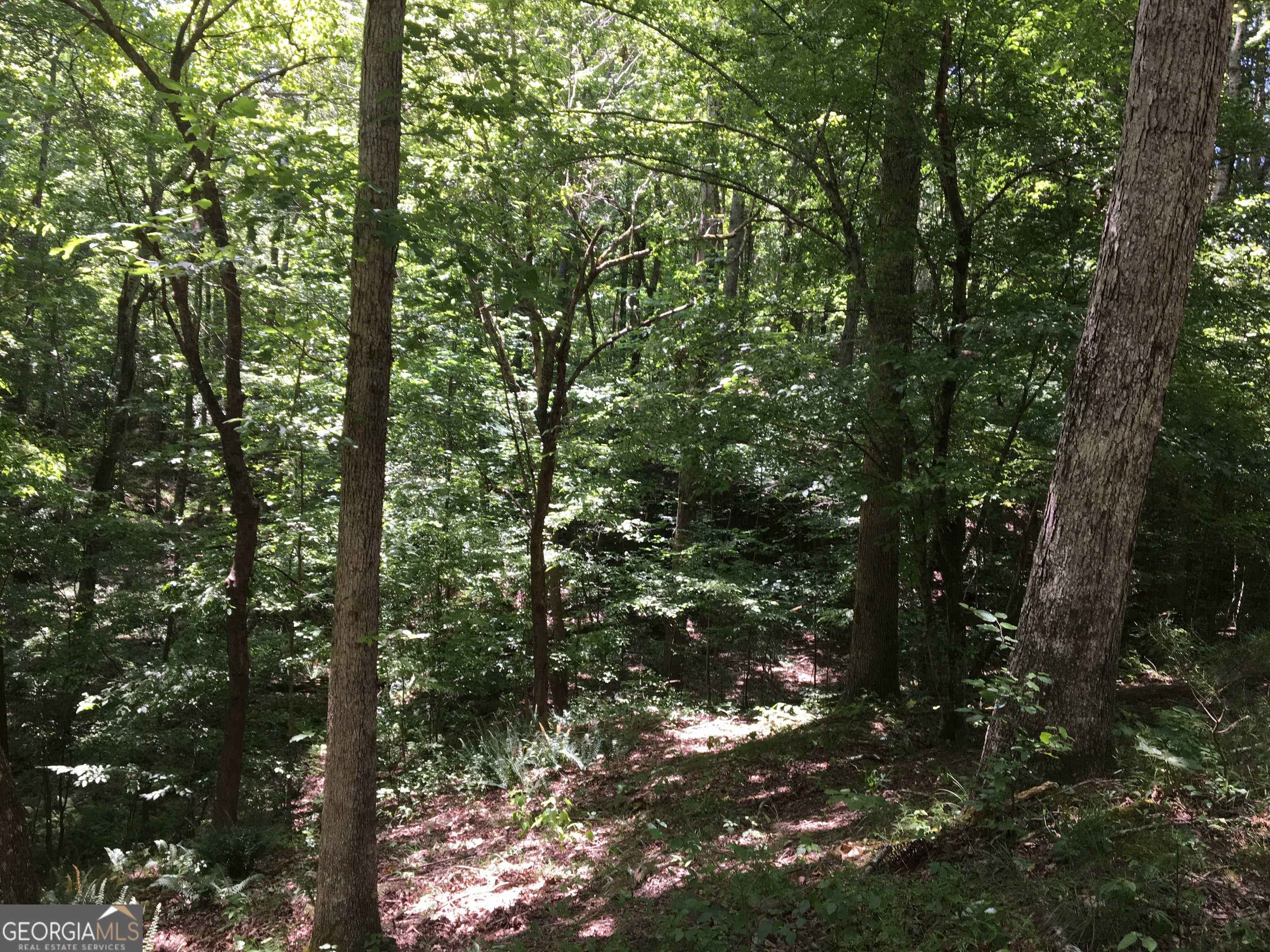 0 Damascus RD