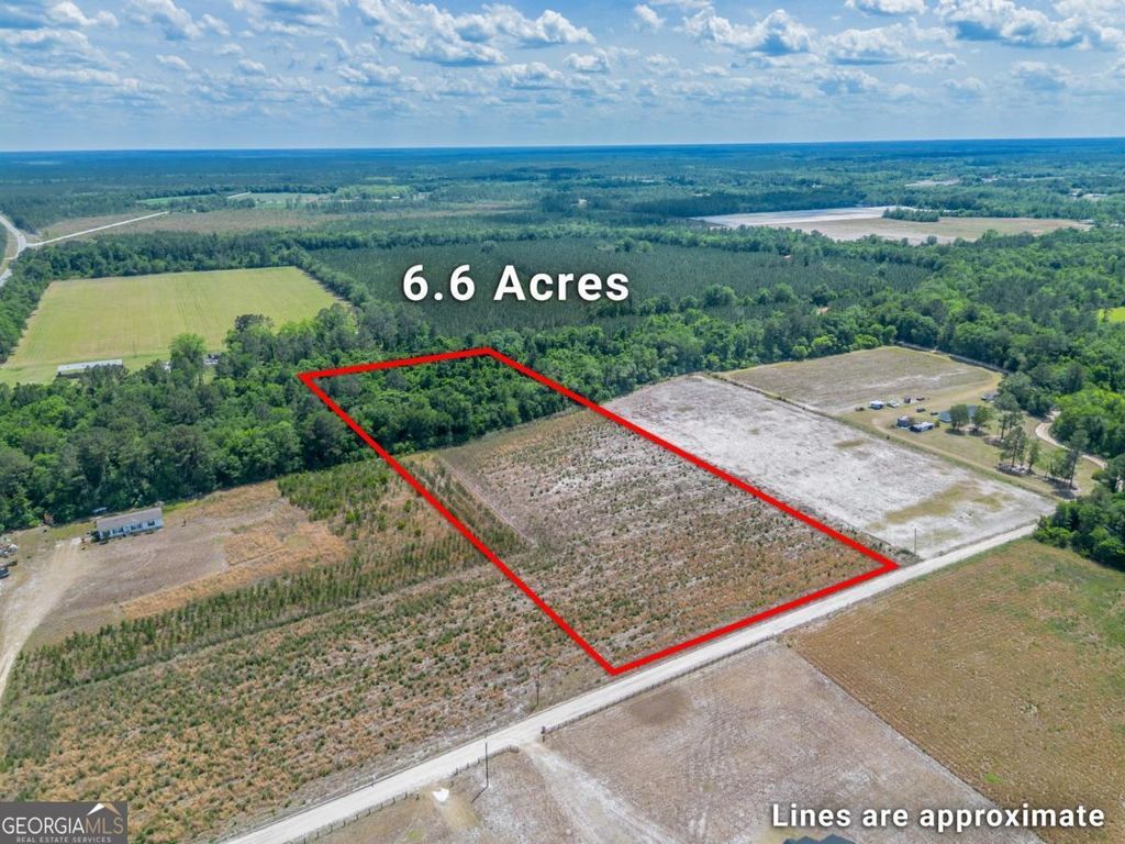 Photo of 66 Bert Rd. Road, Hoboken, GA 31542 (MLS # 10758402)
