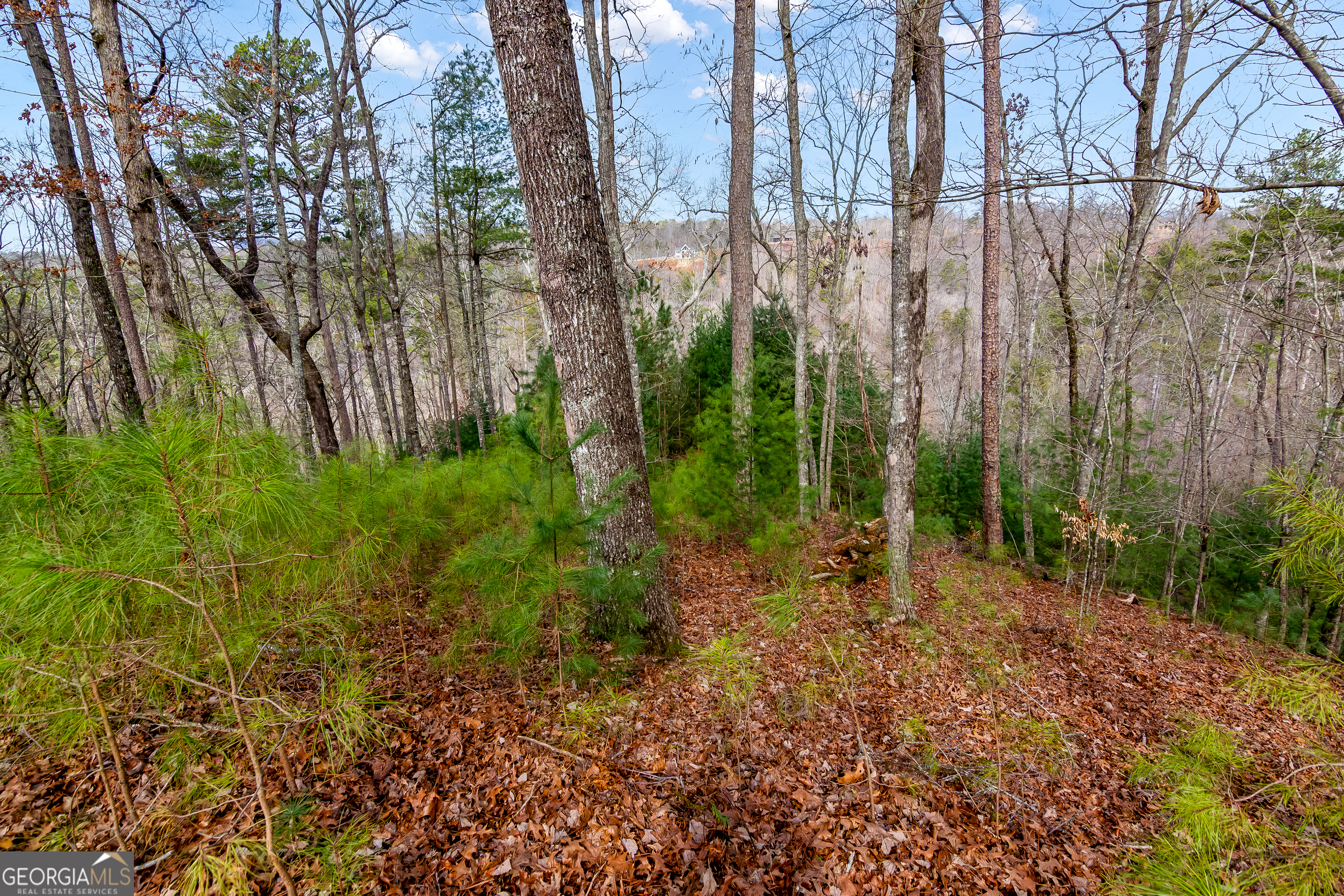 LOT RIGHT BY THE RIVER/WHERE WATER MEETS CARTER'S LAKE WITH SOIL TEST COMPLETE! Map GPS to 992 Myna Drive, Ellijay, GA 30540-this lot is located right to the right of this address. Discover the perfect spot for your dream home on this beautiful 0.91-acre wooded lot, nestled in the serene mountains of the highly desirable Coosawattee River Resort. Enjoy stunning riverfront views in the section leading directly into Carter's Lake! Located on a peaceful gravel road, this property offers a rolling slope ideal for a custom-built cabin or vacation getaway. Take advantage of the privacy and tranquility of lush, wooded surroundings while still having access to modern amenities. With telephone, cable, great cell service, high-speed internet, and public water already in place, all you need is a builder and a septic system to get started. Whether you're looking for a full-time residence or a weekend retreat, this property offers the perfect balance of seclusion and convenience. Short-term and vacation rentals are allowed, making this a great investment opportunity as well. Don't miss out on this incredible chance to own a piece of mountain paradise-contact us today for more details!