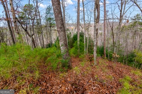 Photo of 941 Myna Drive, Ellijay, GA 30540 (MLS # 10466754)