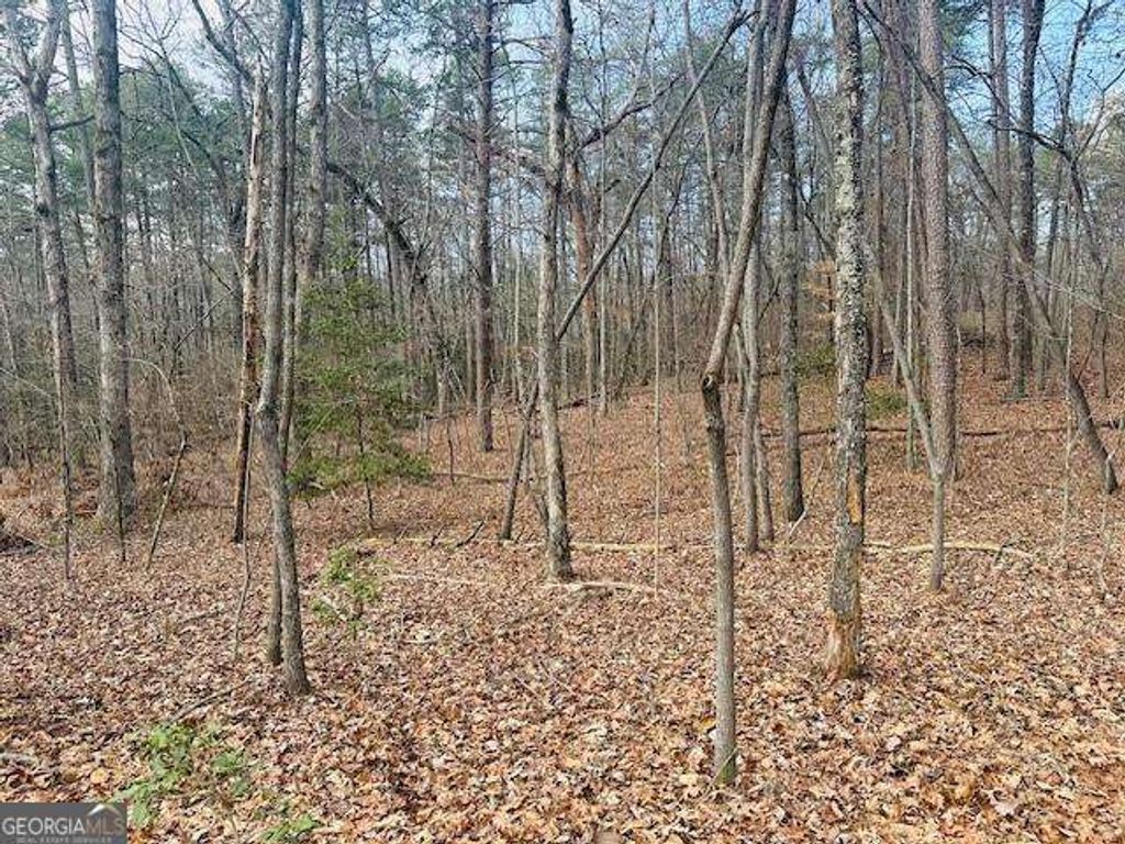 Photo of 28 Fern Park Drive, Dawsonville, GA 30534 (MLS # 10655187)