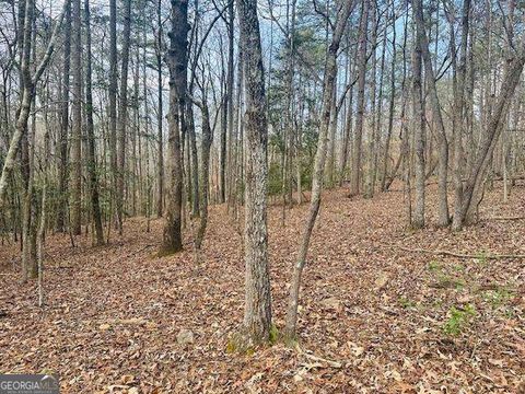 LOT 28 Fern Park DR Dawsonville GA 30534