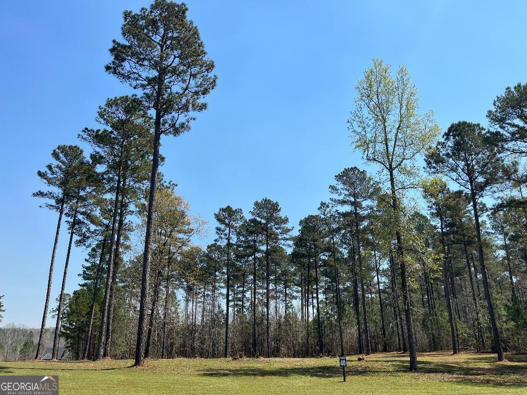 Longing to live the lake life? Well, this 1.82 acre corner lot, located in a lake front gated community, may be just what you need. The community has day dock boat slips and a private community boat ramp. There is even a picnic area to gather with friends and family. Lakeside subdivision is located just off 441 and is convenient to restaurants and shopping in both Milledgeville and Eatonton.