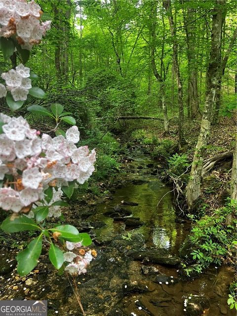 Photo of 0 Kelly Bridge Road, Dawsonville, GA 30534 (MLS # 10738039)