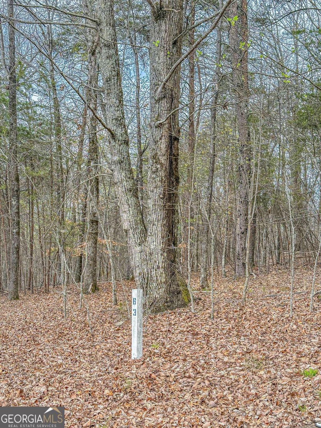 Photo of 0 Green Meadows, Dahlonega, GA 30533 (MLS # 10733742)