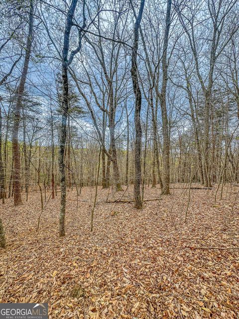 Photo of 0 Green Meadows, Dahlonega, GA 30533 (MLS # 10733742)