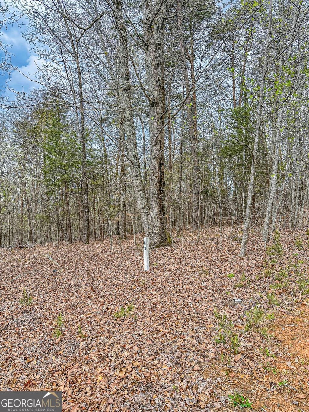 Photo of 0 Green Meadows, Dahlonega, GA 30533 (MLS # 10733742)
