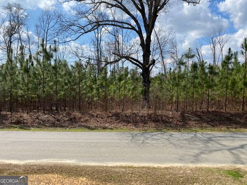 Photo of 0 Baker Rd, Waverly Hall, GA 31831 (MLS # 10710921)