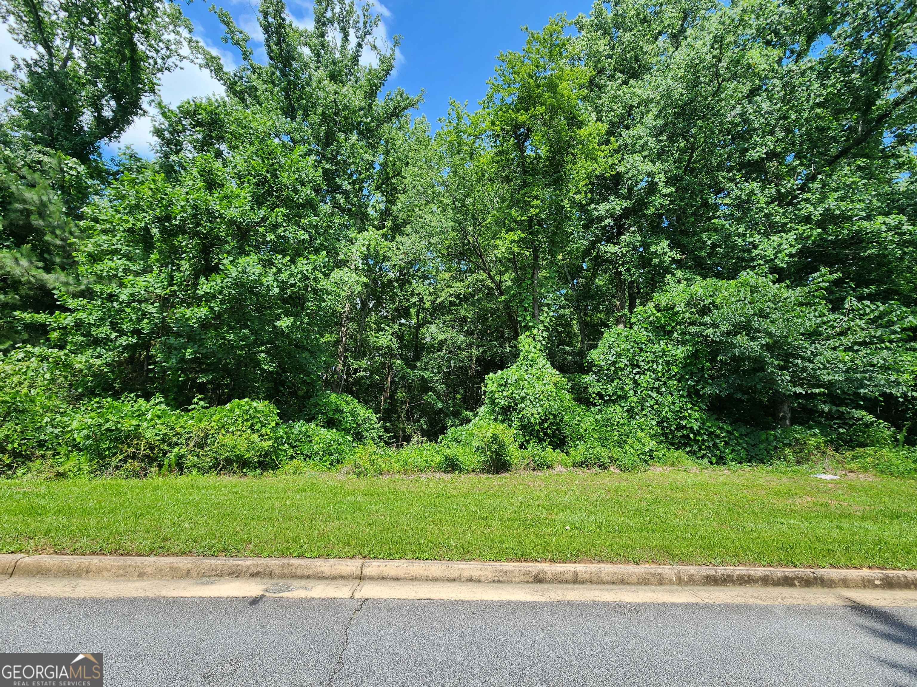 Beautiful full one acre lot in sought after FALLS AT ROCKY BRANCH!!! Excellent school district. Youth Elementary, Youth Middle, and Walnut Grove High School!!! Build your dream home. Currently there is a new construction home listed in the subdivision for $729,900. This is one of the few lots remaining. There is a beautiful creek that runs through the lot about 3/4 of the way back. This lot is NOT in a flood plain. A soil analysis has already been done. Septic tank is a manual traditional gravity tank. (No pump required.) Area to the left side is owned by the HOA. Motivated Seller.