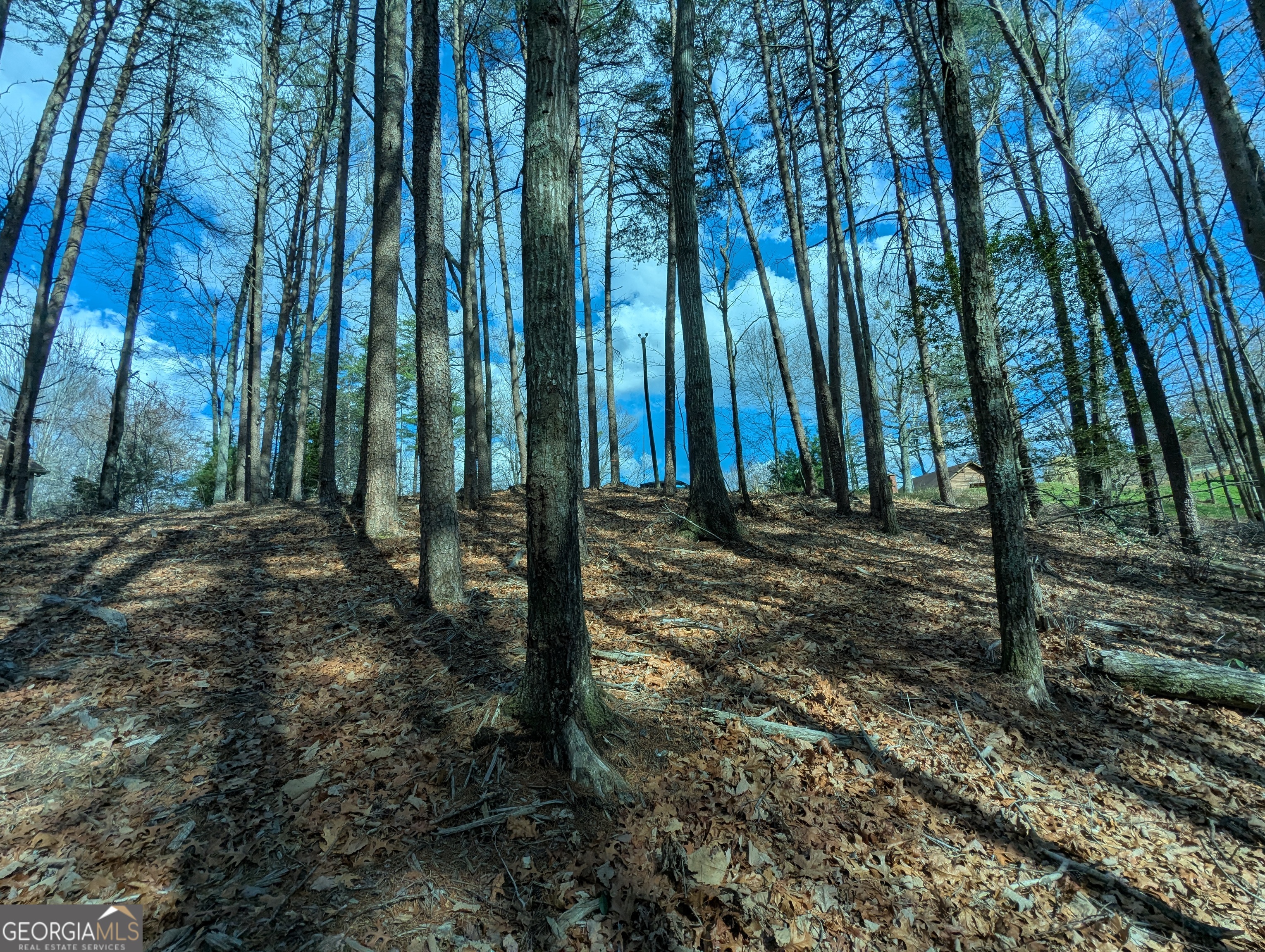 LT 30-31 Eagle Ridge RD