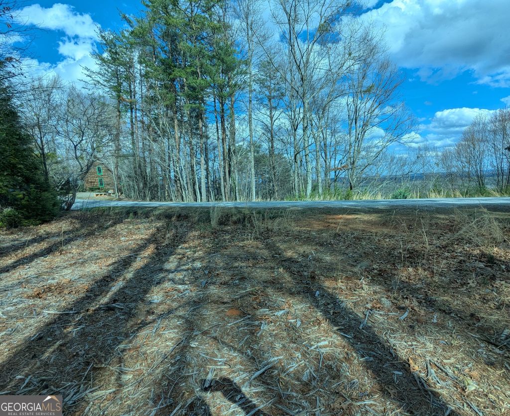 Photo of 3031 Eagle Ridge Road, Dawsonville, GA 30534 (MLS # 10709018)