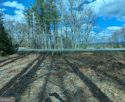 LT 30-31 Eagle Ridge RD Dawsonville GA 30534