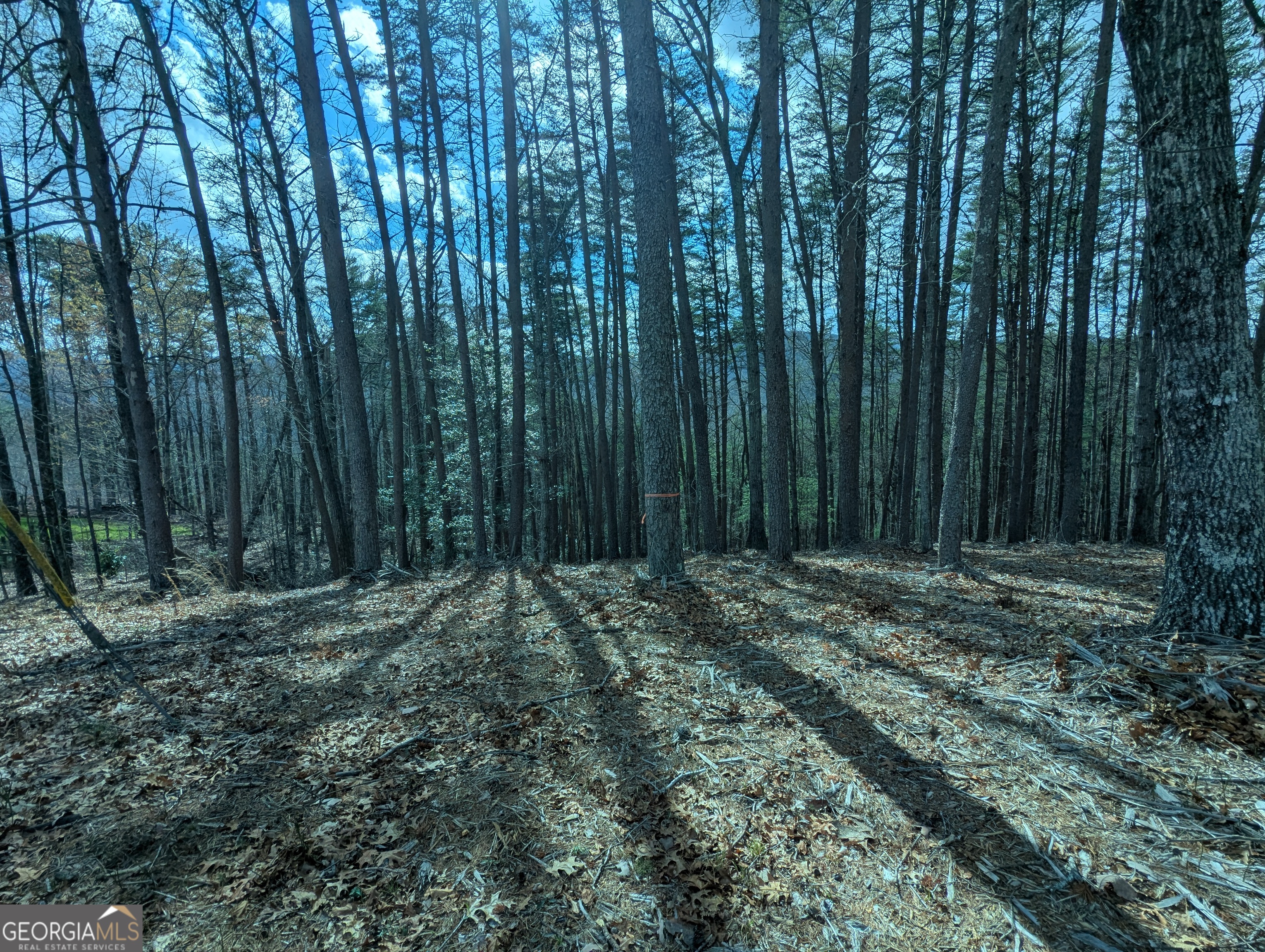 LT 30-31 Eagle Ridge RD