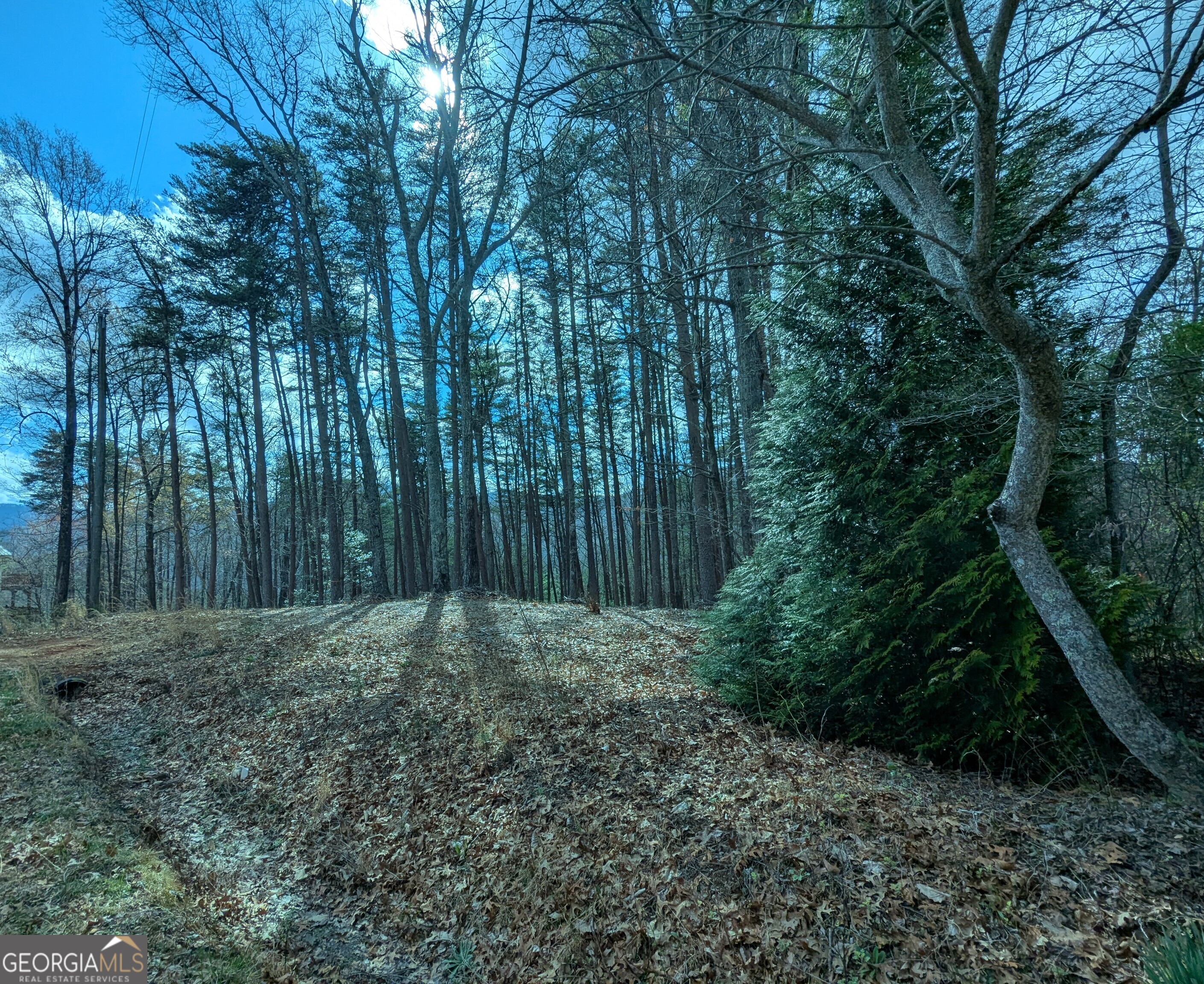 LT 30-31 Eagle Ridge RD