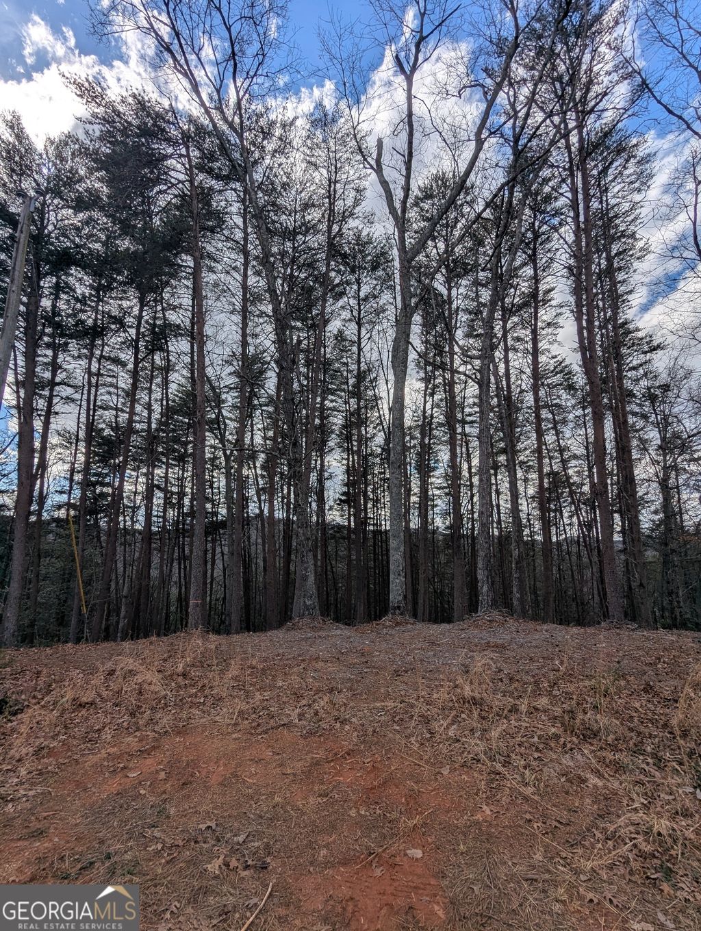 Photo of 3031 Eagle Ridge Road, Dawsonville, GA 30534 (MLS # 10709018)