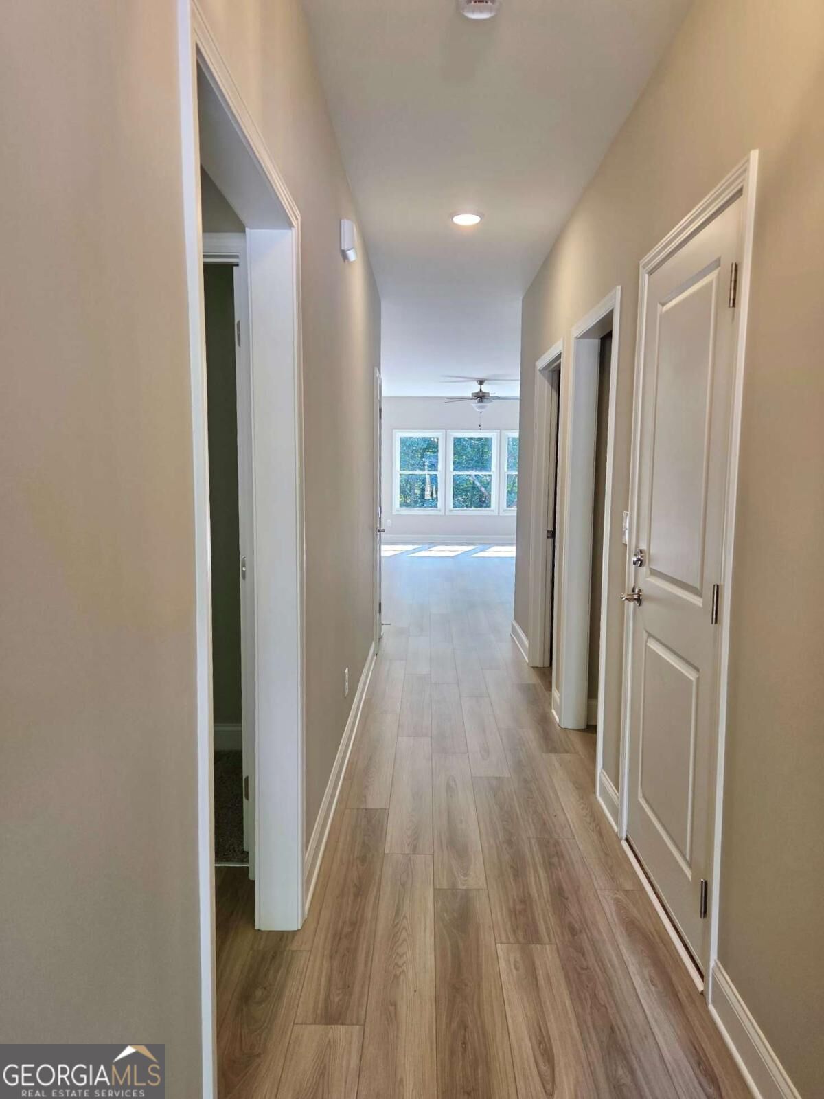157 Silver Fox LOOP