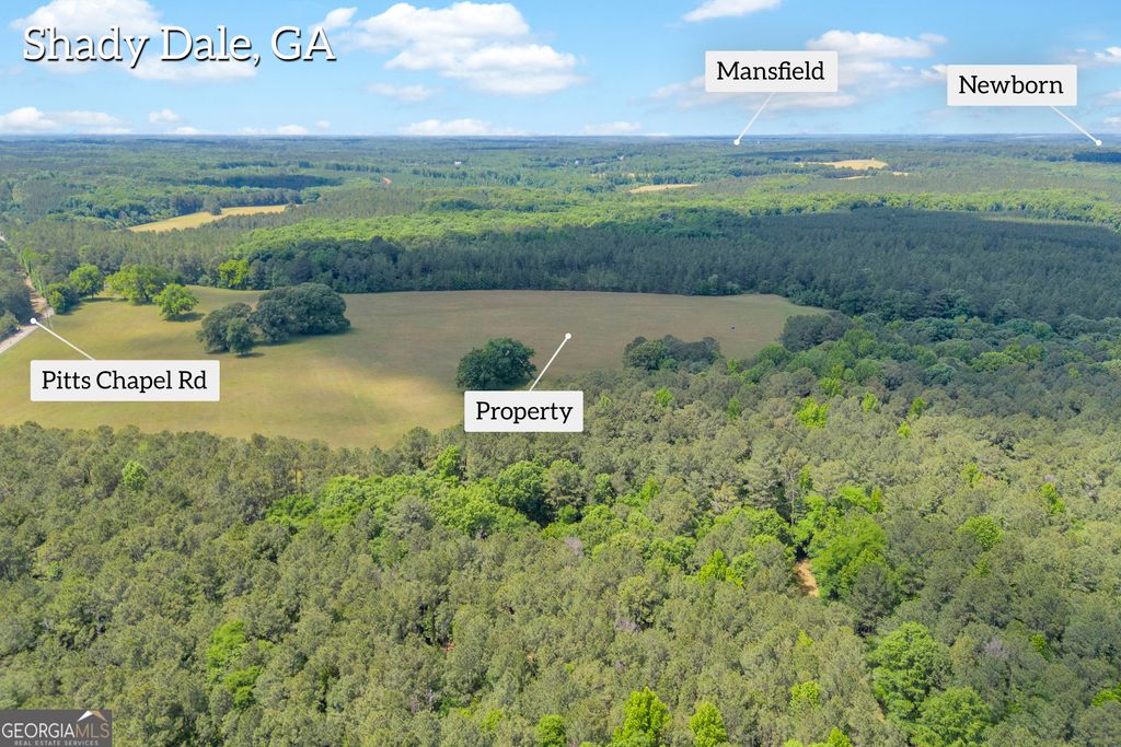 Photo of LOT C 0 Pitts Chapel Road, Monticello, GA 31064 (MLS # 10766129)
