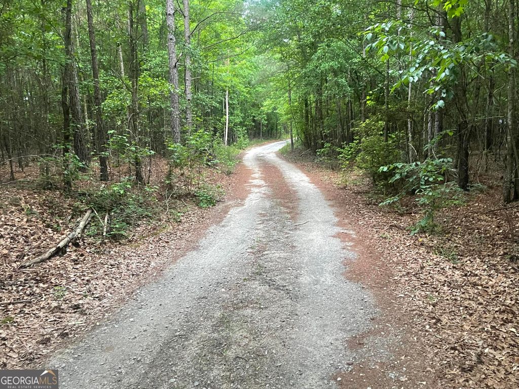 Photo of 1716 Ranger Road, Warrenton, GA 30828 (MLS # 10756460)