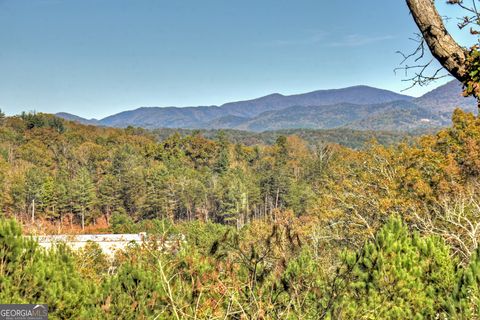 A home in Ellijay