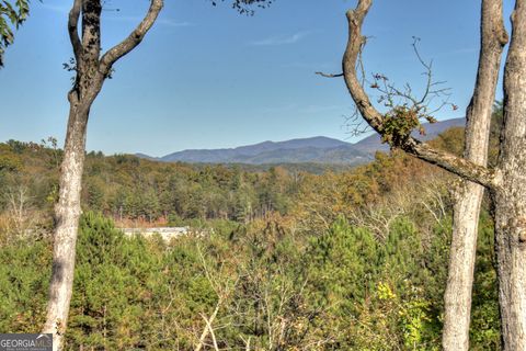 A home in Ellijay