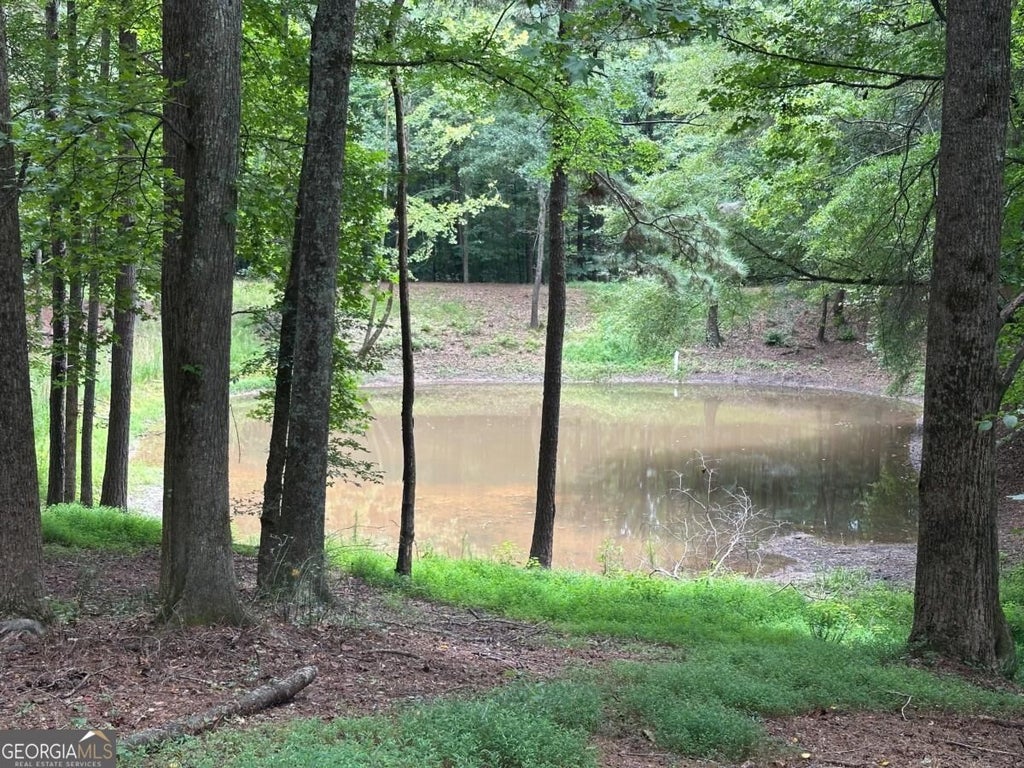 Photo of 1701 Liberty Grove Road, Alpharetta, GA 30004 (MLS # 10853690)