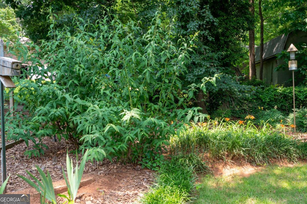 Forest Creek Trail - Residential