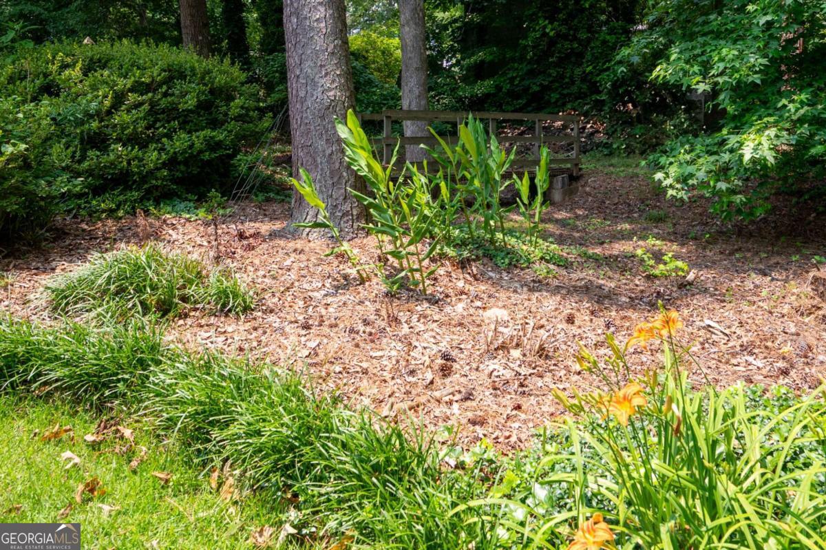 Forest Creek Trail - Residential