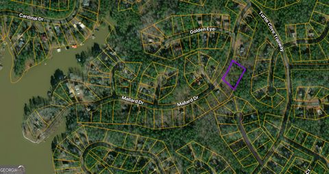 Photo of 22 Mallard Drive, Monticello, GA 31064 (MLS # 10628447) Photo of 22 Mallard Drive, Monticello, GA 31064 (MLS # 10628447)