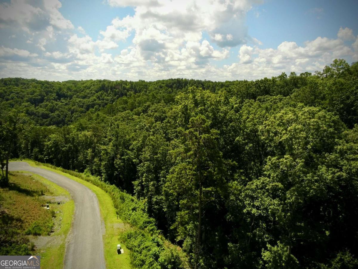 Tucked inside the Jake's Landing Overlook subdivision in Ellijay, GA, Lot 79 offers a peaceful place to build a simpler kind of getaway. This gated community is designed with intentional living in mind, encouraging homes between 500 and 1,200 square feet-perfect for those looking to downsize, build a weekend retreat, or simply enjoy the ease of a smaller space. The property itself begins with a sloped driveway entrance and quickly opens up to gentle, rolling land that feels just right for a mountain cabin. A small creek flows near the back of the lot, adding to the natural charm. Throughout the neighborhood, you'll find beautiful mountain views and a growing list of amenities that support outdoor living-like swimming, tennis, camping areas, nearby hiking trails, and access to Carters Lake via the community boat ramp. Some amenities are still being completed, offering even more to look forward to. Located just a short drive from Ellijay's charming downtown with its locally owned shops, restaurants, and seasonal festivals, this lot also puts you within easy reach of other mountain towns like Blue Ridge and Jasper. Quick access to Highway 515 makes getting to and from Atlanta surprisingly easy, whether you're heading up for the weekend or commuting occasionally. Whether you're ready to build now or planning for the future, Lot 79 is a quiet spot with a lot to offer, surrounded by all the beauty and adventure North Georgia is known for.