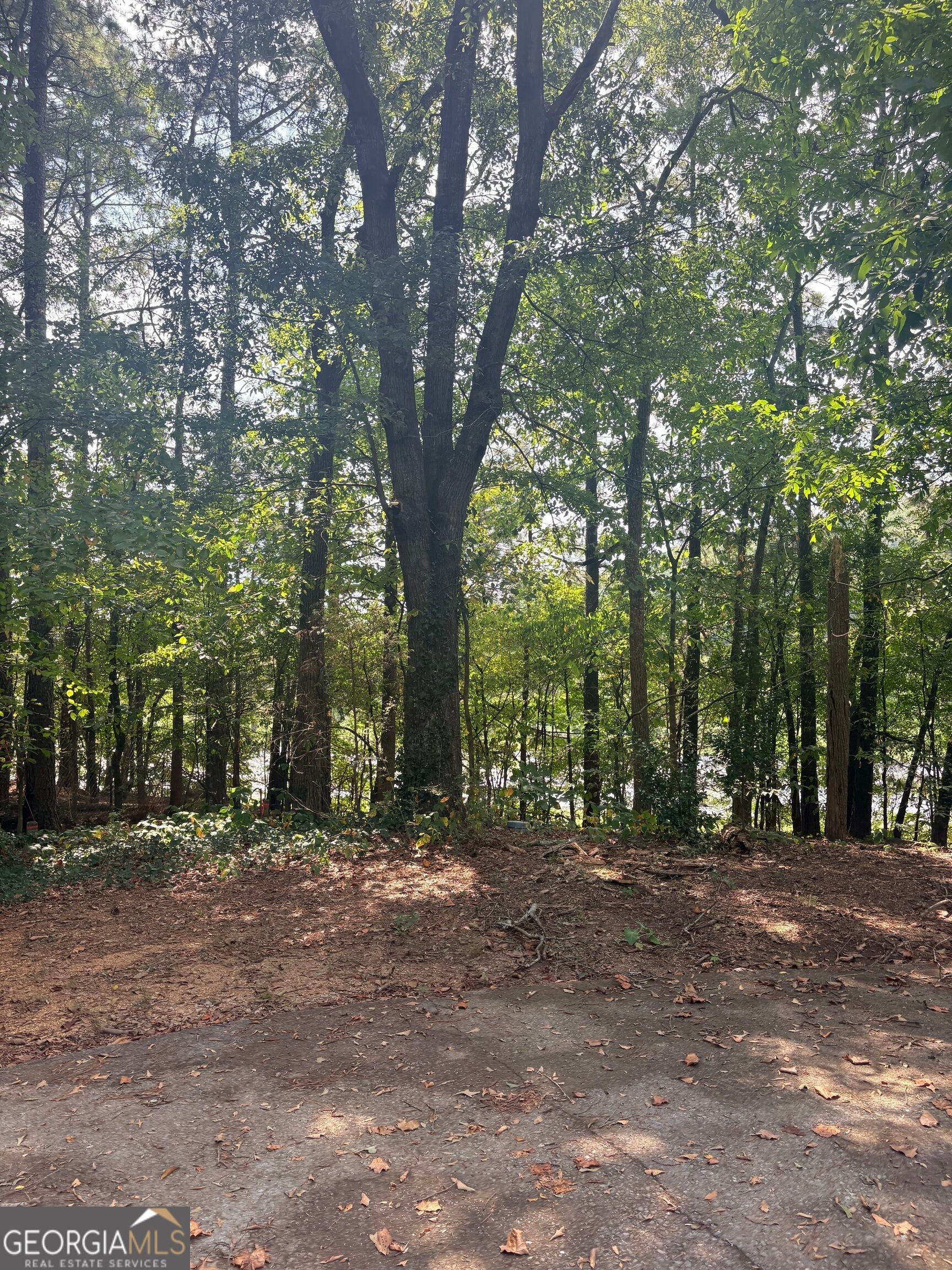 8164 New Calhoun RD NE
