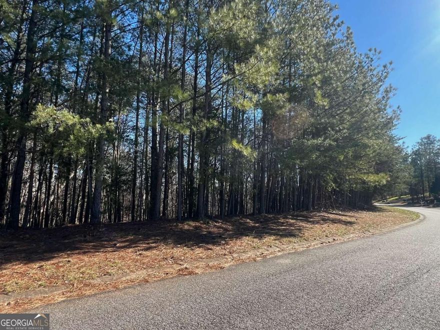 Discover this beautiful 1.11-acre lot located in the charming, well-established neighborhood of Silver Creek. This lot is perfectly suited for a basement-style home or a residence with a tiered rear deck, allowing you to fully embrace the beauty of the stunning wooded landscape and take advantage of the long road frontage. Silver Creek is a neighborhood known for its well-maintained properties and inviting atmosphere, making it an ideal place to create your dream home. This is one of three adjoining lots currently available (see FMLS 7510148 and FMLS 7508573), offering the last opportunity to secure your space in this sought-after community. Conveniently located in the desirable community of Silver Creek in Cherokee County, just a 20-minute drive from Canton or Jasper, providing easy access to shopping, dining, and recreation while maintaining the peace and privacy of a countryside retreat.