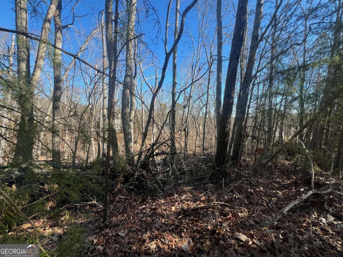 Silver Creek - Land