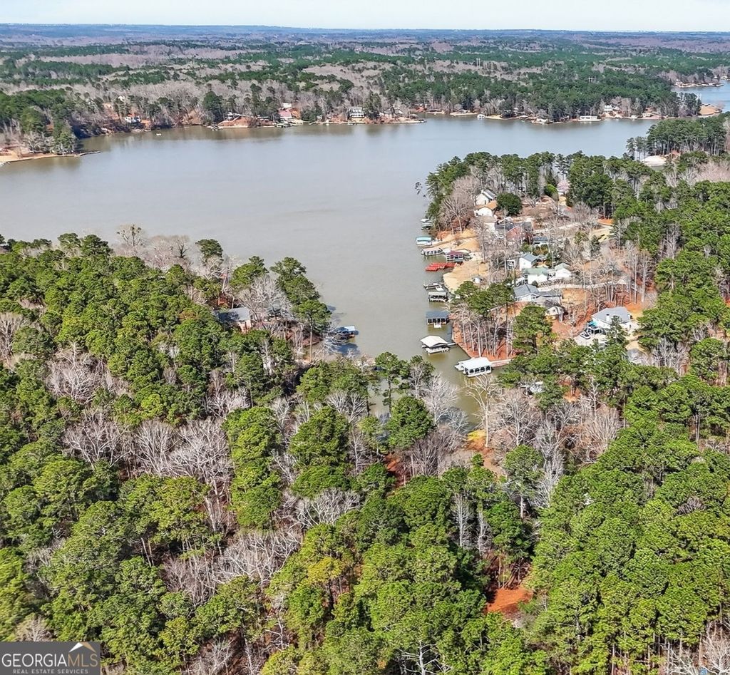 Photo of 225 Tanager Ct, Monticello, GA 31064 (MLS # 10696442)