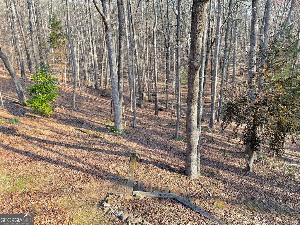 listing image 43